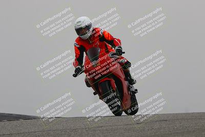 media/Nov-30-2025-TrackDaz (Sun) [[d8b22663df]]/C Group/Session 3 (Grapevine)/